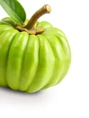 Brindle berry (Garcinia gummi-gutta) fruit